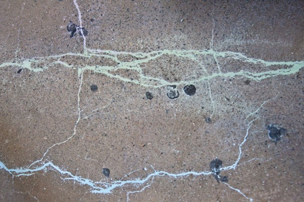 tumblr_mnuouk4uwE1qgye8go8_1280